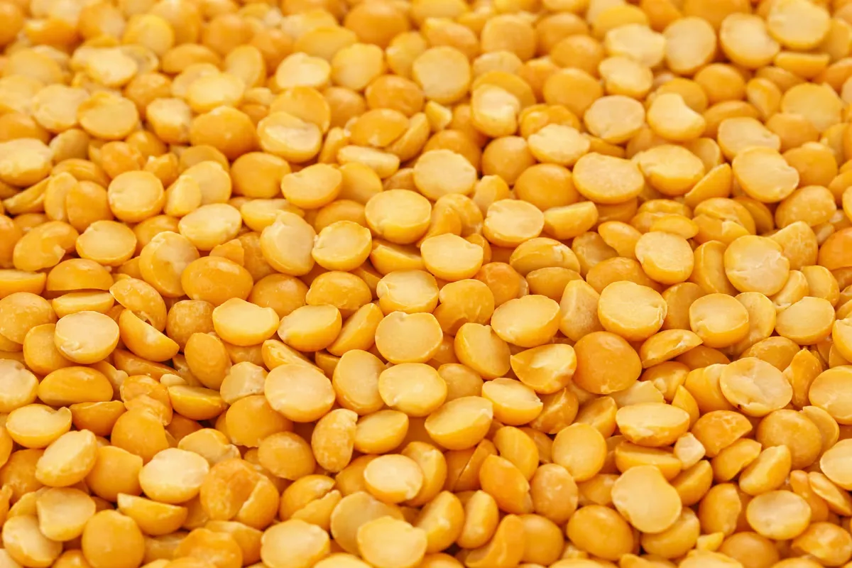 Premium Toor Dal — split pigeon peas
